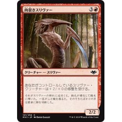 画像1: 【JPN】肉裂きスリヴァー/Cleaving Sliver[MTG_MH1_121C]