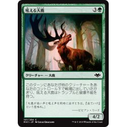 画像1: 【JPN】吼える大鹿/Bellowing Elk[MTG_MH1_157C]