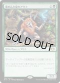 【JPN】溜め込み屋のアウフ/Collector Ouphe[MTG_MH1_158R]