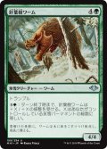 【JPN】針葉樹ワーム/Conifer Wurm[MTG_MH1_159U]