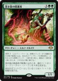 【JPN】深き森の隠遁者/Deep Forest Hermit[MTG_MH1_161R]