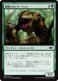 【JPN】掘削するアヌーリッド/Excavating Anurid[MTG_MH1_163C]