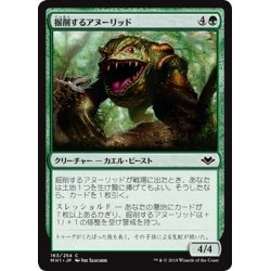 画像1: 【JPN】掘削するアヌーリッド/Excavating Anurid[MTG_MH1_163C]