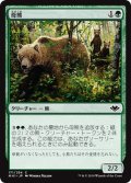 【JPN】母熊/Mother Bear[MTG_MH1_171C]