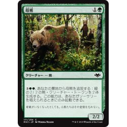 画像1: 【JPN】母熊/Mother Bear[MTG_MH1_171C]