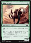 【JPN】敏捷なマングース/Nimble Mongoose[MTG_MH1_174C]