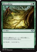 【JPN】新たな芽吹き/Regrowth[MTG_MH1_175U]