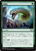 【JPN】厚鱗化/Scale Up[MTG_MH1_179U]