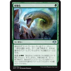 画像1: 【JPN】厚鱗化/Scale Up[MTG_MH1_179U]