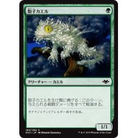 【JPN】胞子カエル/Spore Frog[MTG_MH1_180C]