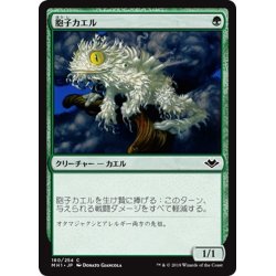 画像1: 【JPN】胞子カエル/Spore Frog[MTG_MH1_180C]