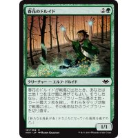 【JPN】春花のドルイド/Springbloom Druid[MTG_MH1_181C]