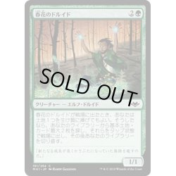 画像1: 【JPN】春花のドルイド/Springbloom Druid[MTG_MH1_181C]