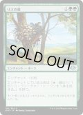 【JPN】リスの巣/Squirrel Nest[MTG_MH1_182U]