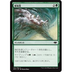 画像1: 【JPN】棘竜巻/Thornado[MTG_MH1_184C]