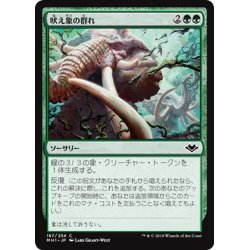 画像1: 【JPN】吠え象の群れ/Trumpeting Herd[MTG_MH1_187C]