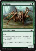 【JPN】双子絹蜘蛛/Twin-Silk Spider[MTG_MH1_188C]