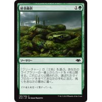 【JPN】紆余曲折/Winding Way[MTG_MH1_193C]