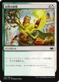 【JPN】自然の詠唱/Nature's Chant[MTG_MH1_210C]