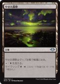 【JPN】やせた原野/Barren Moor[MTG_MH1_236U]