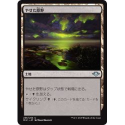 画像1: 【JPN】やせた原野/Barren Moor[MTG_MH1_236U]