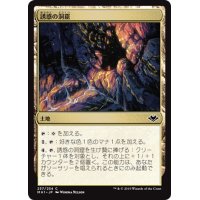 【JPN】誘惑の洞窟/Cave of Temptation[MTG_MH1_237C]