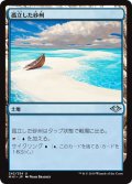 【JPN】孤立した砂州/Lonely Sandbar[MTG_MH1_242U]