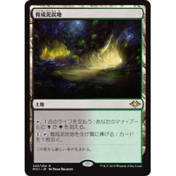 画像1: 【JPN】育成泥炭地/Nurturing Peatland[MTG_MH1_243R]