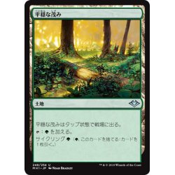 画像1: 【JPN】平穏な茂み/Tranquil Thicket[MTG_MH1_248U]