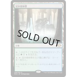 画像1: 【JPN】冠水樹林帯/Waterlogged Grove[MTG_MH1_249R]