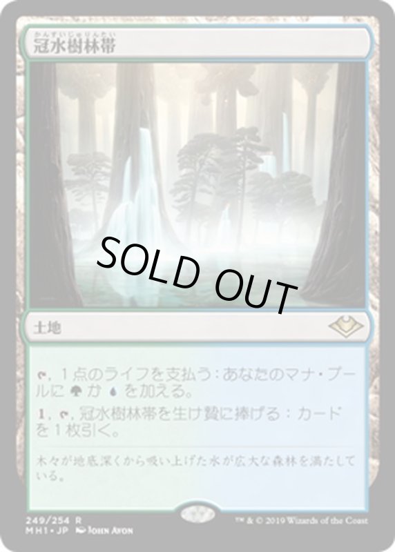 画像1: 【JPN】冠水樹林帯/Waterlogged Grove[MTG_MH1_249R] (1)