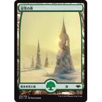 【JPN】冠雪の森/Snow-Covered Forest[MTG_MH1_254L]