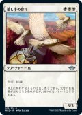 【JPN】癒し手の群れ/Healer's Flock[MTG_MH2_016U]