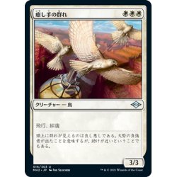 画像1: 【JPN】癒し手の群れ/Healer's Flock[MTG_MH2_016U]