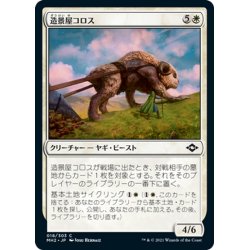 画像1: 【JPN】造景屋コロス/Landscaper Colos[MTG_MH2_018C]