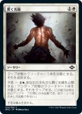 【JPN】★Foil★貫く光線/Piercing Rays[MTG_MH2_024C]