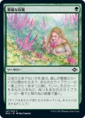 【JPN】豊穣な収穫/Abundant Harvest[MTG_MH2_147C]