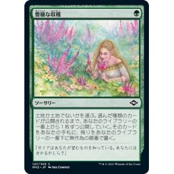 画像1: 【JPN】豊穣な収穫/Abundant Harvest[MTG_MH2_147C]