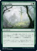 【JPN】幸いなる休止/Blessed Respite[MTG_MH2_150U]