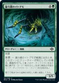 【JPN】漏斗網のイトグモ/Funnel-Web Recluse[MTG_MH2_161C]