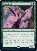 【JPN】聖域の織り手/Sanctum Weaver[MTG_MH2_171R]