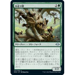 画像1: 【JPN】小走り樫/Scurry Oak[MTG_MH2_172U]