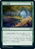 【JPN】★Foil★リスの聖域/Squirrel Sanctuary[MTG_MH2_174U]