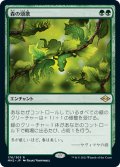 【JPN】森の頌歌/Sylvan Anthem[MTG_MH2_176R]