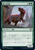 【JPN】都の短剣歯/Urban Daggertooth[MTG_MH2_181C]