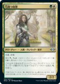 【JPN】弓持つ侍祭/Arcus Acolyte[MTG_MH2_185U]