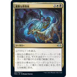 画像1: 【JPN】優雅な修復術/Graceful Restoration[MTG_MH2_201U]