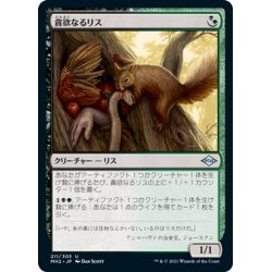 画像1: 【JPN】貪欲なるリス/Ravenous Squirrel[MTG_MH2_211U]