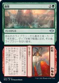 【JPN】路傍/瓦解 //Road / Ruin[MTG_MH2_212U]