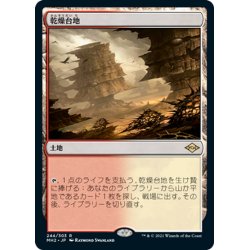 画像1: 【JPN】乾燥台地/Arid Mesa[MTG_MH2_244R]